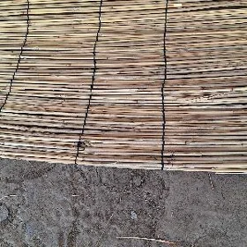 Dokala  gamyş