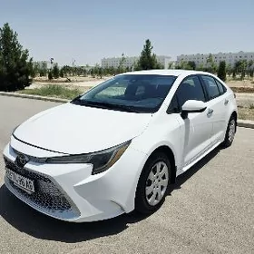 Toyota Corolla 2021