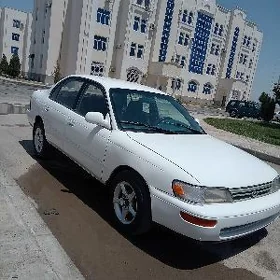 Toyota Corolla 1997