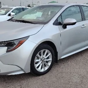 Toyota Corolla 2021