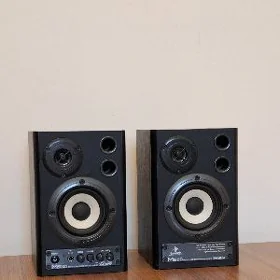 Monitor Kalonka behringer