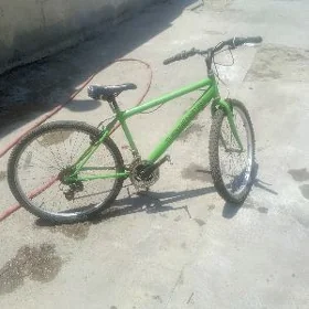 welsapet