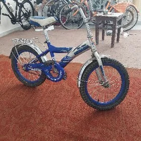 tigir 16lyk