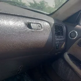 mark panel setga