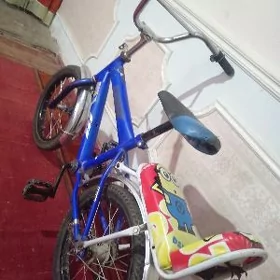 Welsepet 16lyk