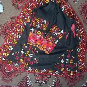 gadymy kurte