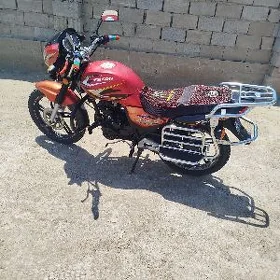 Fekon FK150-8G 2015