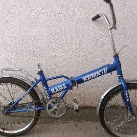TIGIR KAMA