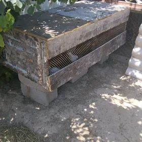 BEDENE GÖÇME ÝATAK