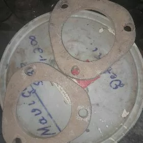 korollo futulka