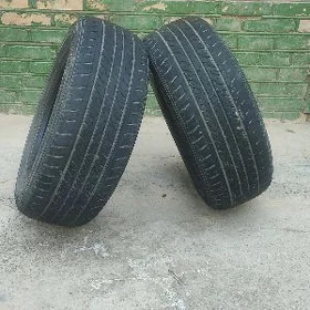 15 lik pakryşka