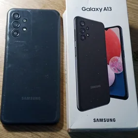 A 13