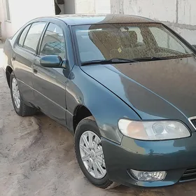 Toyota Aristo 1991