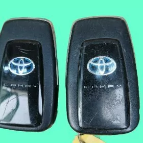 Camry Pult
