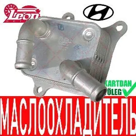 YAG SOWADYJY МАСЛООХЛАДИТЕЛЬ H