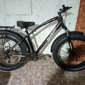 Tigir