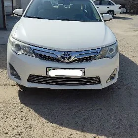 Toyota Camry 2013