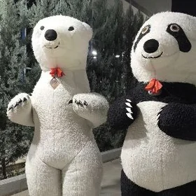 miska ak ayy , ak gara panda