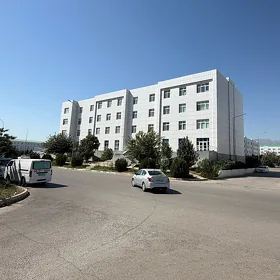 tamizci uborsica