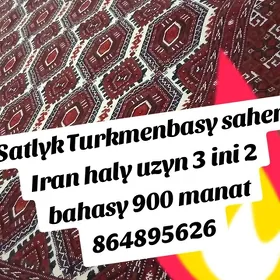 haly iran