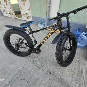 26lyk tigir