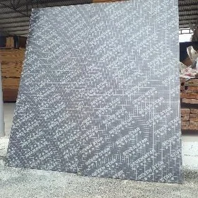 Plimut finski faner