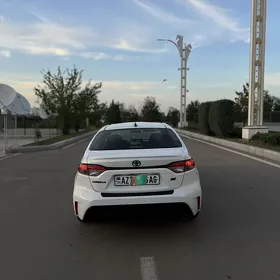 Toyota Corolla 2019