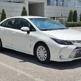 Toyota Corolla 2020