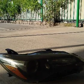 azyada fara