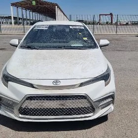 Toyota Corolla 2021