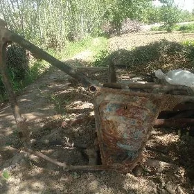 iź