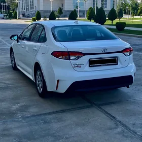 Toyota Corolla 2025