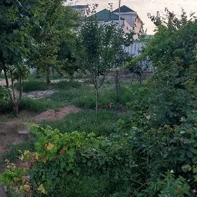 SATLYK JAÝ