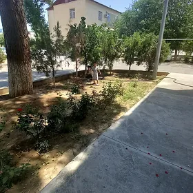 Eyesi Ipoteka Хозяин 2kom 3mkr