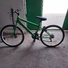 Tigir