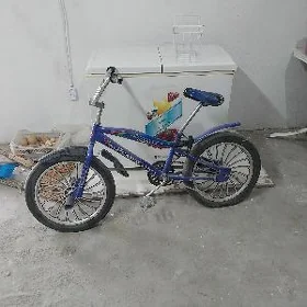 tigir