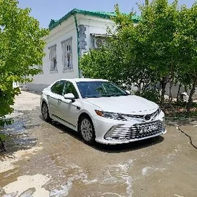 Toyota Camry 2020