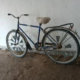 welseped ural 2024
