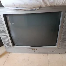 Telewizor