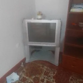 телевизор