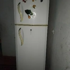 LG holodelnik