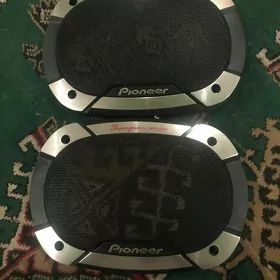 pioneer