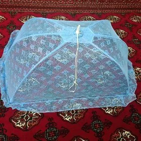Çaga peşehenasy