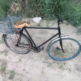 ural