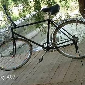 ural tigir