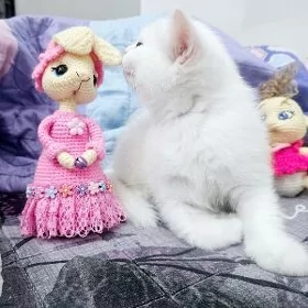 Девочка и мальчики