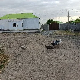 induk abmen towuk bilen