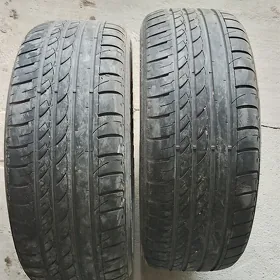 225 55 17