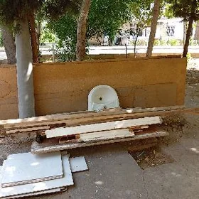 Despe agaç linonim