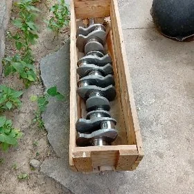 30 lyk kepçe wal